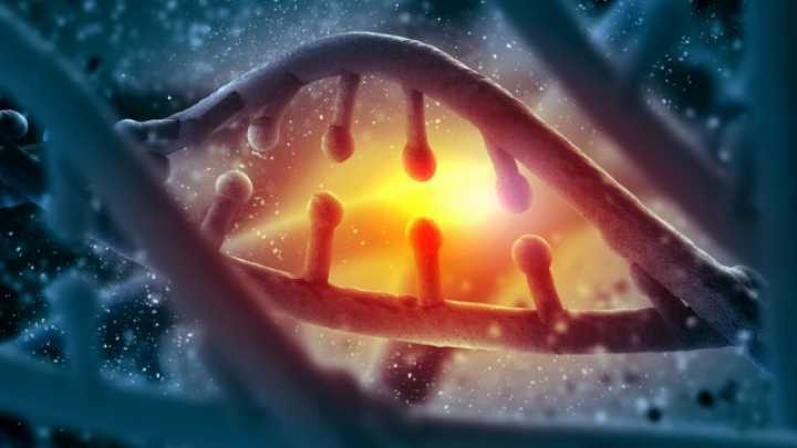 Gene